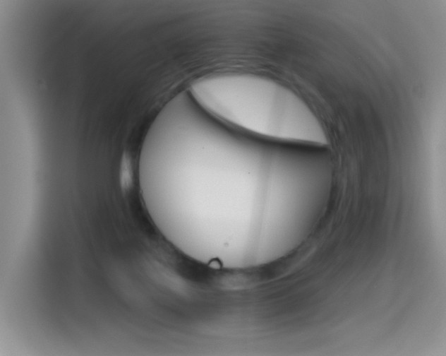X0000114640075200910200949