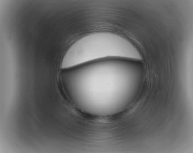 X0000114640076200910200949
