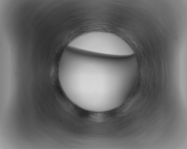 X0000114640079200910200949