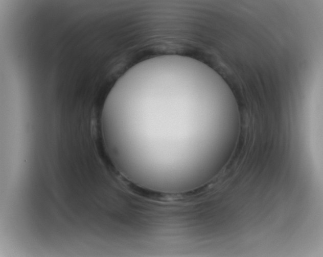 X0000114640080200910200949