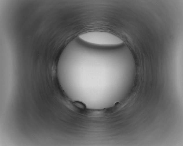 X0000114640081200910200949