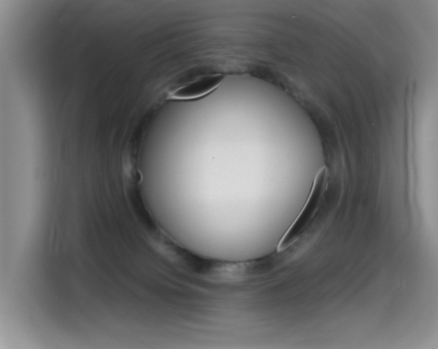 X0000114640084200910200949