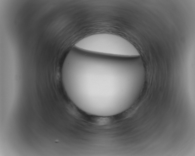X0000114640085200910200949