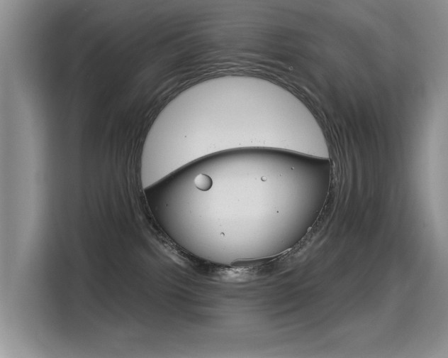 X0000114640092200910200949