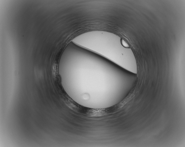 X0000114640093200910200949