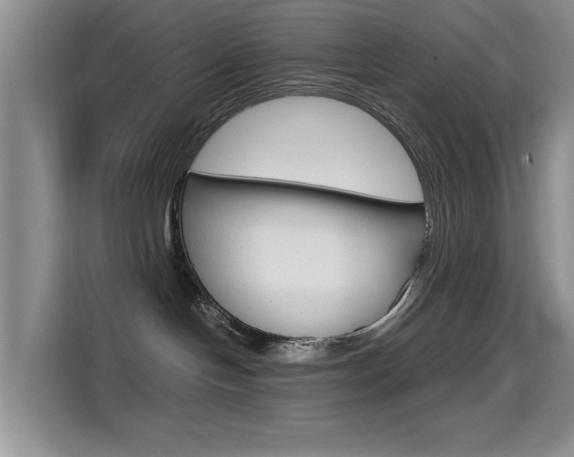 X0000114640094200910200949