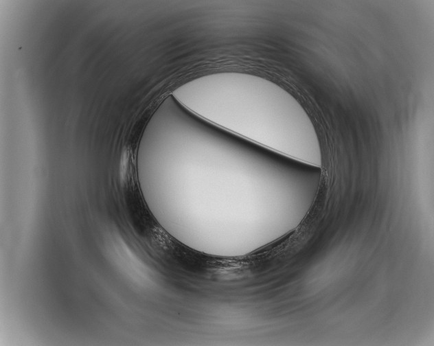 X0000114640095200910200949