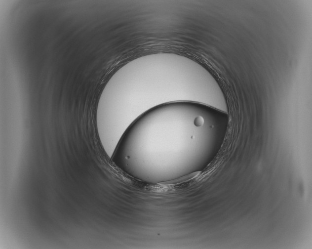 X0000114640096200910200949