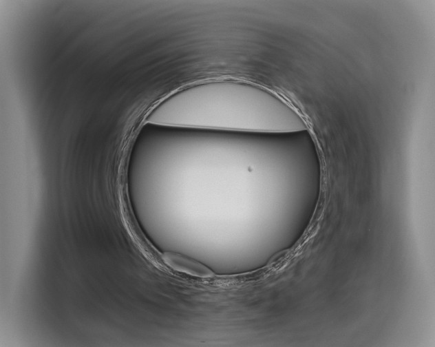 X0000114640097200910200949