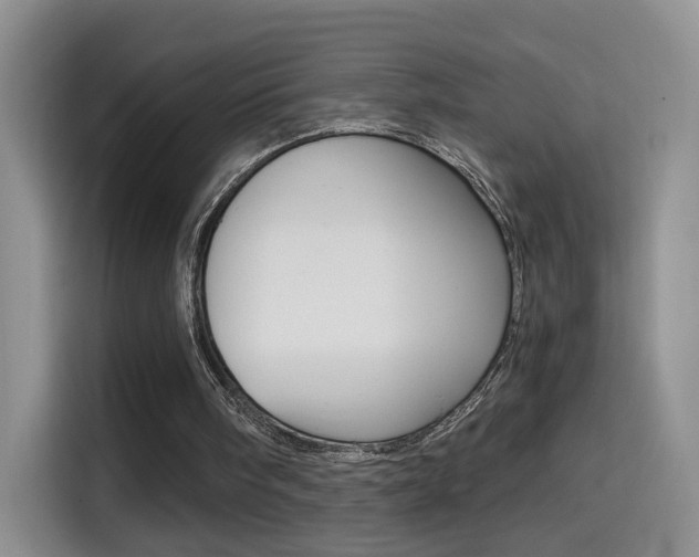 X0000114640098200910200949