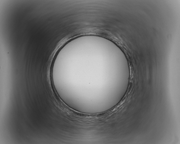 X0000114640099200910200949