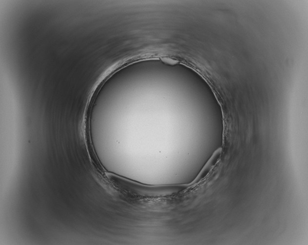 X0000114640100200910200949
