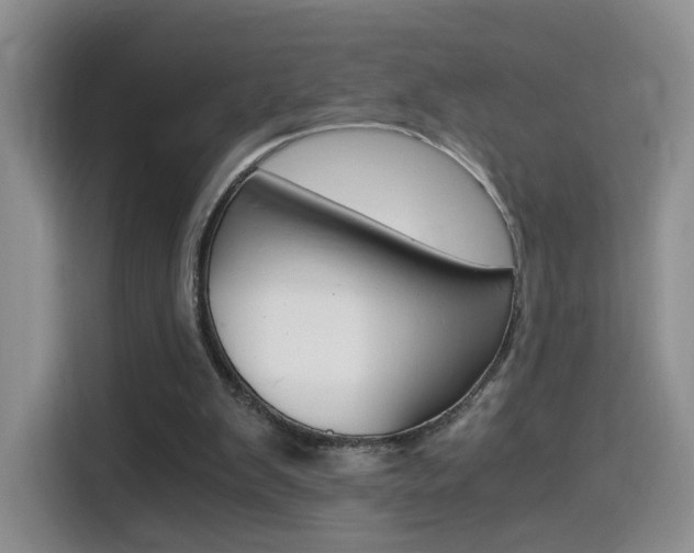 X0000114640103200910200949