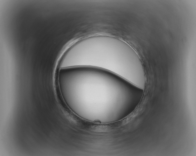 X0000114640104200910200949