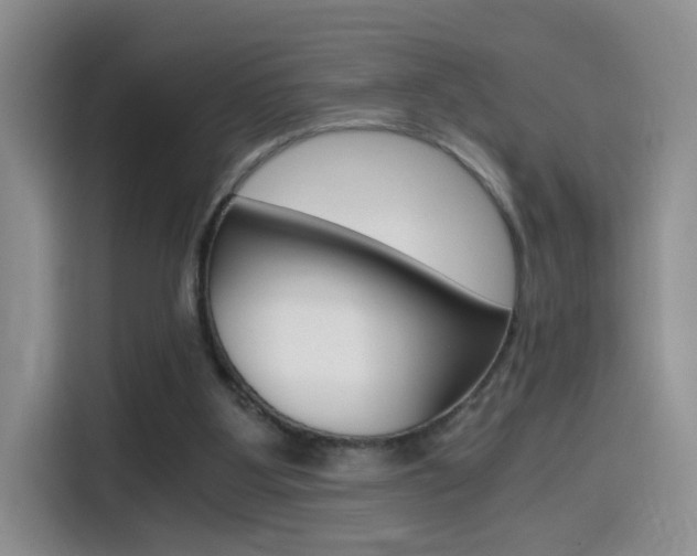 X0000114640107200910200949