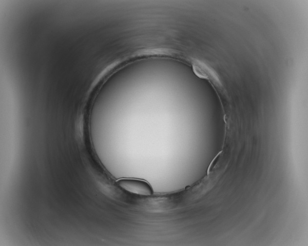 X0000114640108200910200948