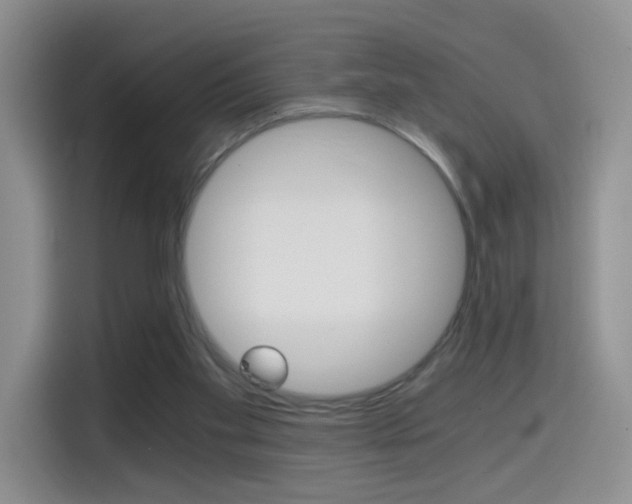 X0000114640109200910200948