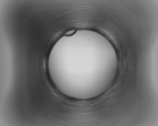 X0000114640115200910200948