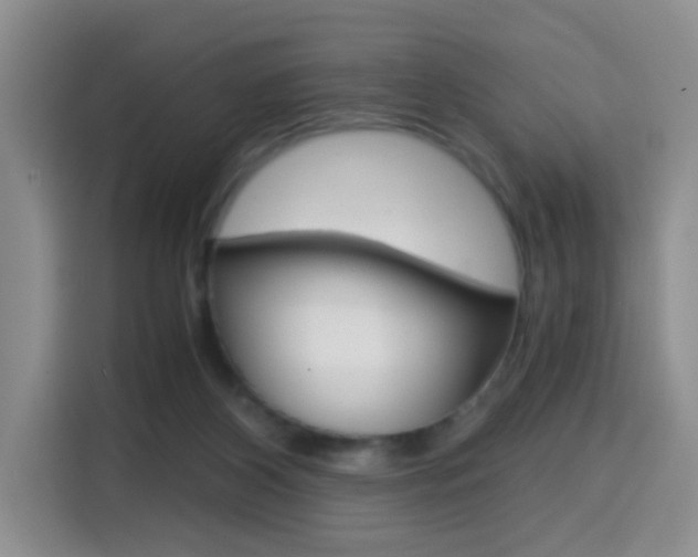X0000114640116200910200948