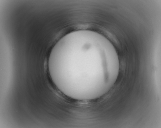 X0000114640118200910200948