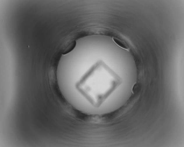 X0000114640121200910200948