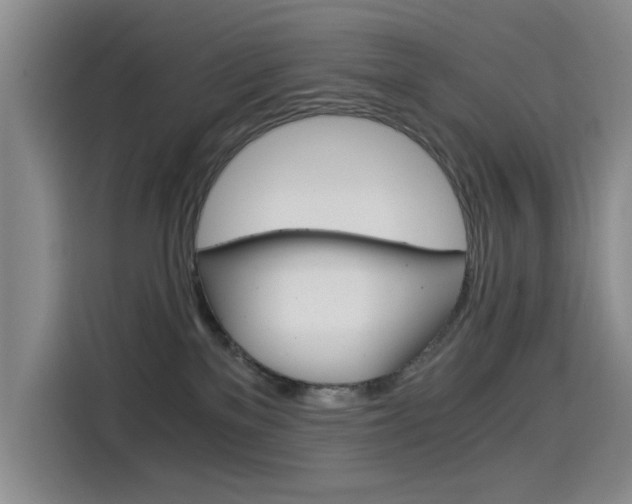 X0000114640137200910200948