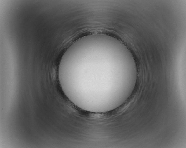 X0000114640139200910200948