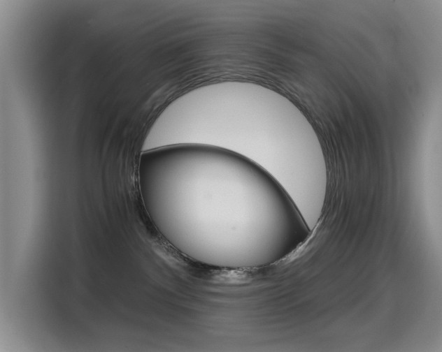 X0000114640140200910200948