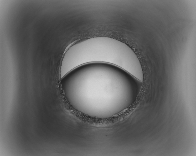 X0000114640144200910200948