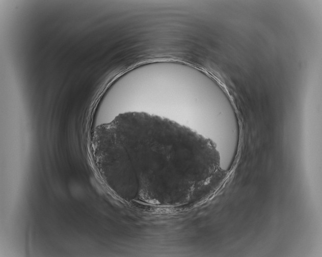 X0000114640145200910200947