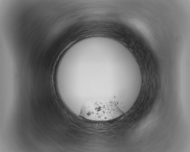 X0000114640146200910200947