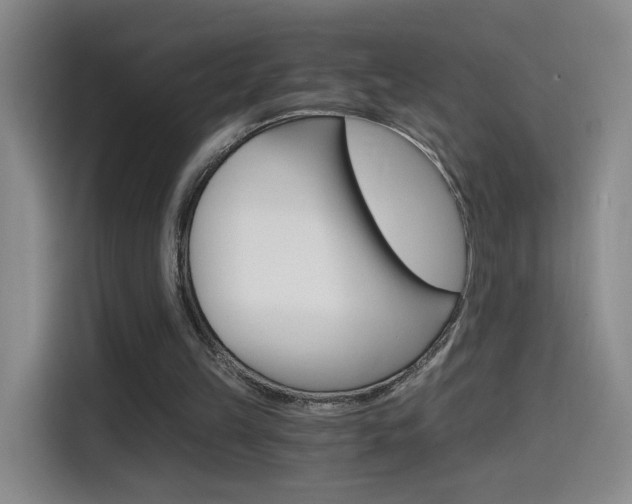 X0000114640149200910200947