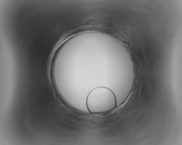 X0000114640150200910200947