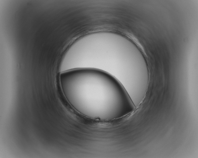 X0000114640154200910200948