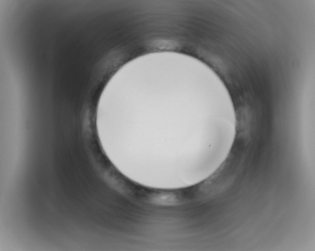 X0000114640162200910200948
