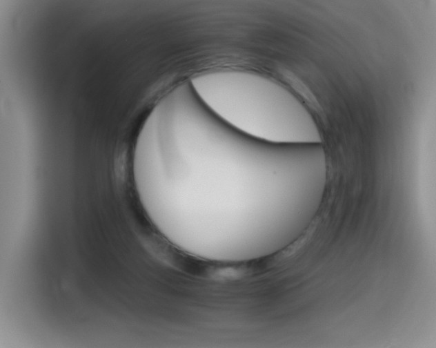 X0000114640163200910200948