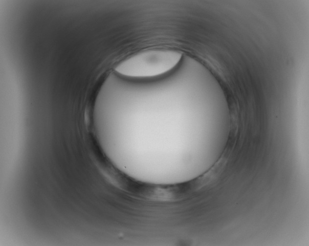 X0000114640166200910200948