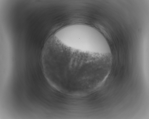 X0000114640167200910200948