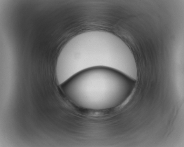 X0000114640174200910200948