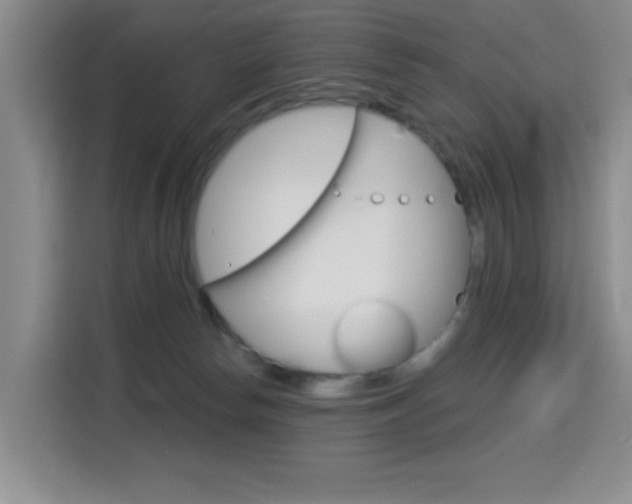 X0000114640178200910200948