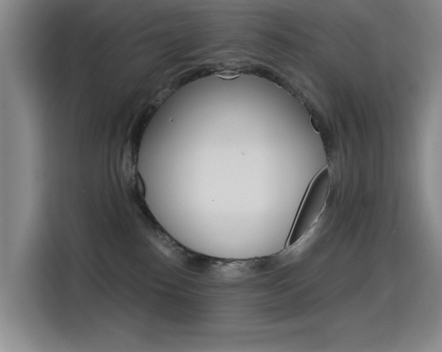 X0000114640186200910200948