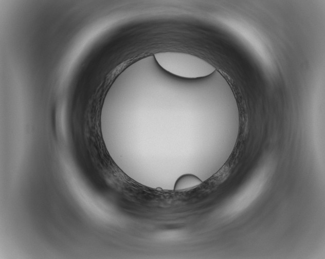 X0000114640189200910200948