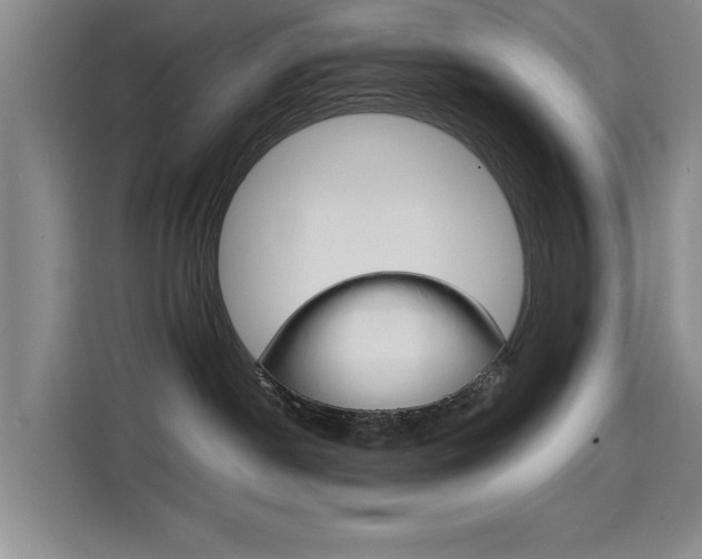 X0000114640190200910200948