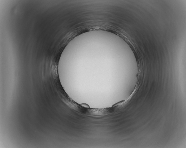 X0000114640191200910200948