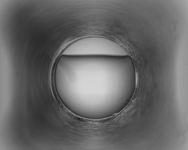 X0000114640195200910200947