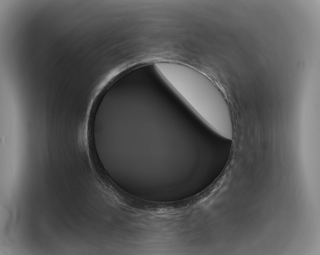 X0000114640196200910200947