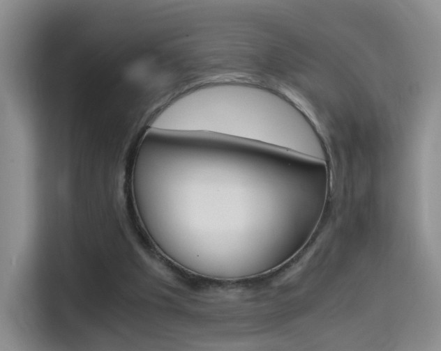 X0000114640201200910200947