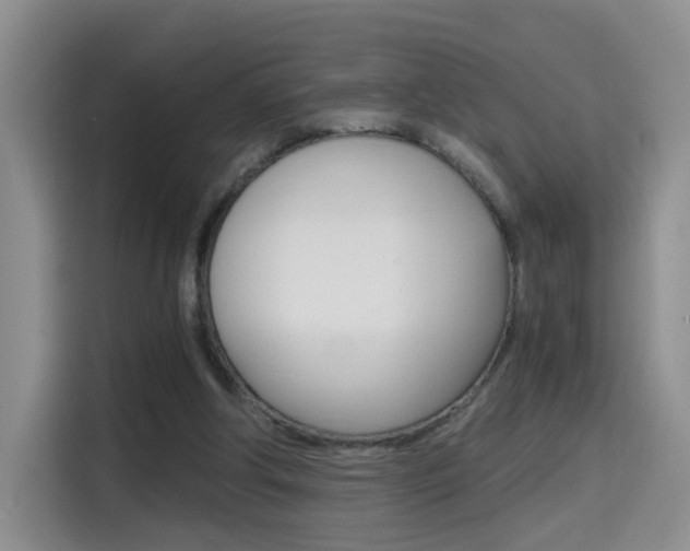 X0000114640202200910200947