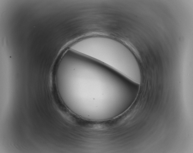 X0000114640204200910200947