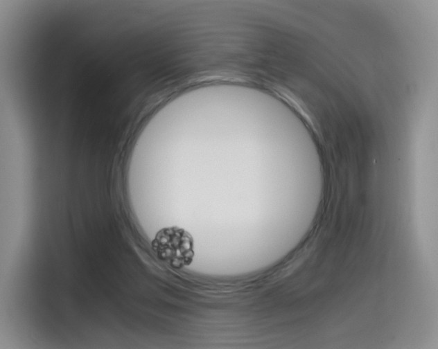 X0000114640205200910200947